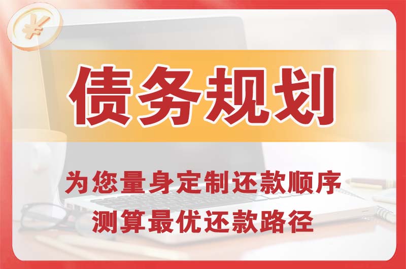 新野债务规划